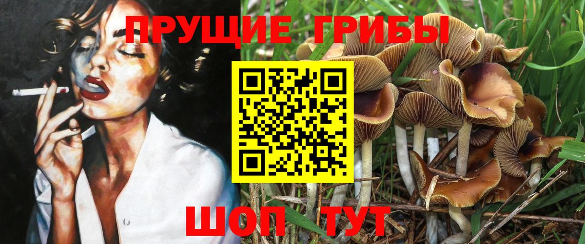 Псилоцибиновые грибы ЛСД  Вход с VPN  Псилоцибиновые грибы MAGIC MUSHROOMS  Семилуки 